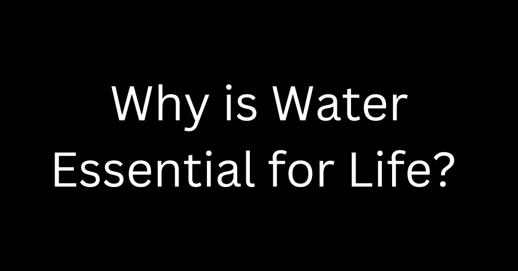 Why is Water Essential in Life?